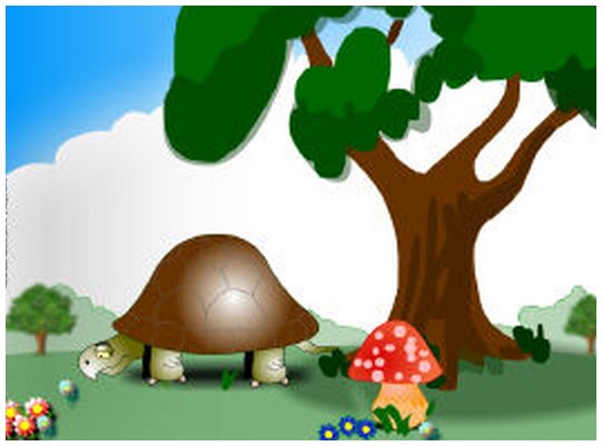 Une petite tortue ... bien dérangée